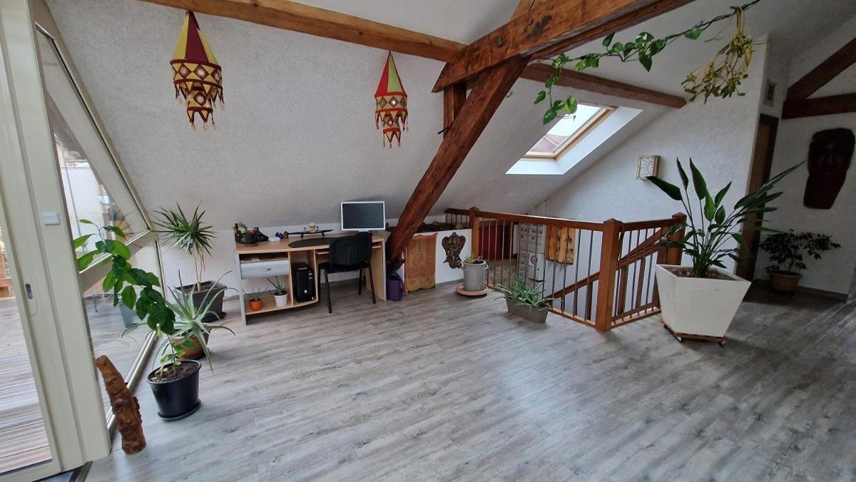 Morvillars Bel Appartement 120 M² Tres Lumineux Avec Terrasse מראה חיצוני תמונה