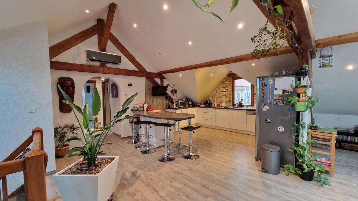 Morvillars Bel Appartement 120 M² Tres Lumineux Avec Terrasse מראה חיצוני תמונה